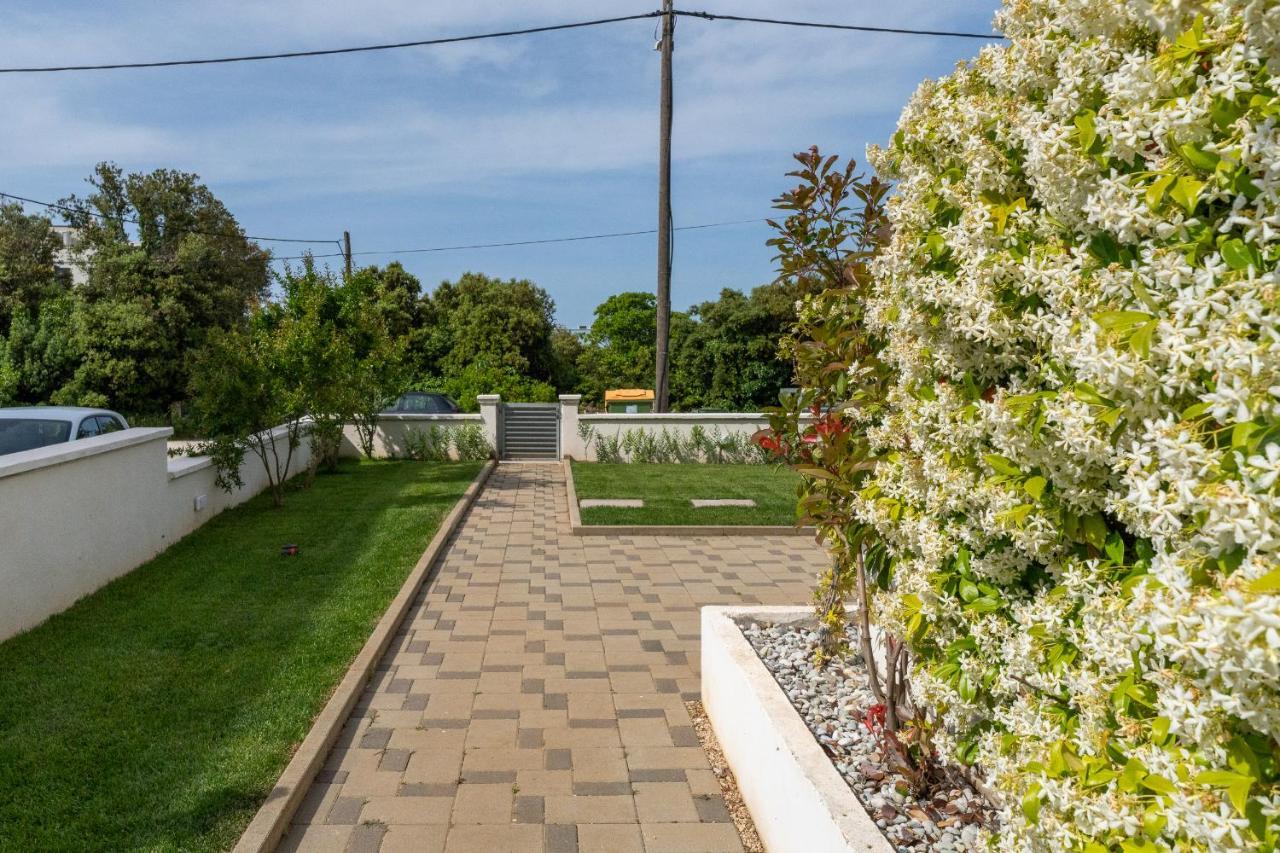 Villa Mirela ペトルチャネ エクステリア 写真