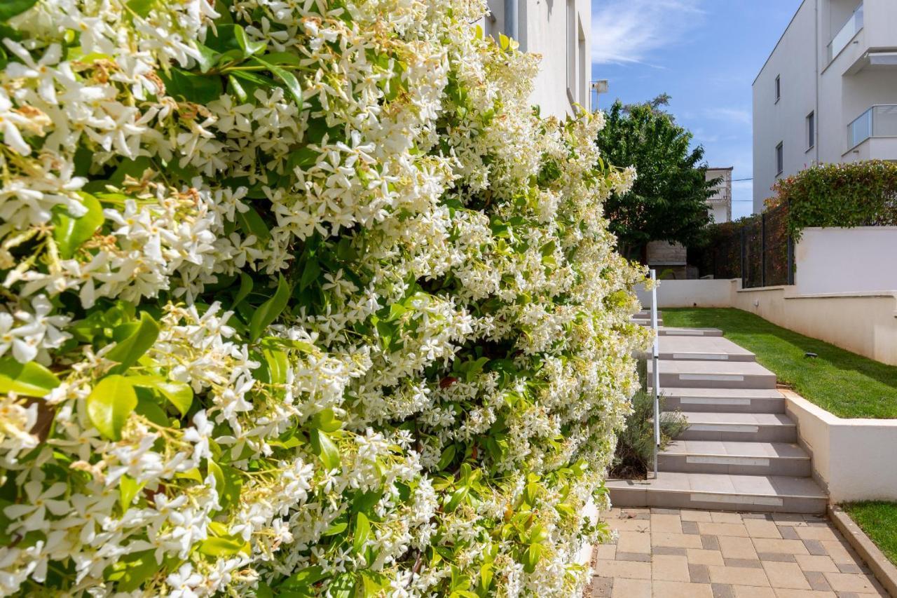 Villa Mirela ペトルチャネ エクステリア 写真